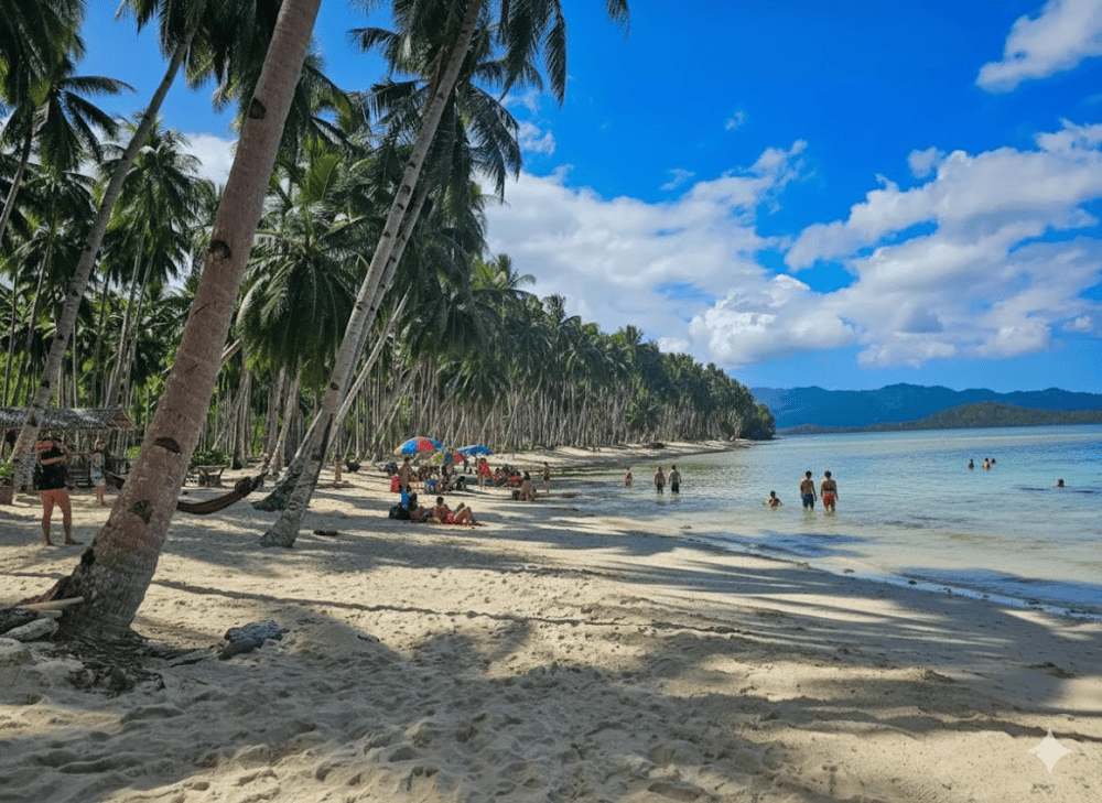 Coconut Beach is perfect for a lazy afternoon, a beachside picnic, or simply watching the world slow down